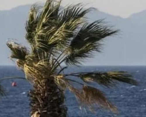 Σφοδροί άνεμοι μέχρι 7 μποφόρ πλήττουν την Κύπρο-Κίτρινη προειδοποίηση από την Μετεωρολογική