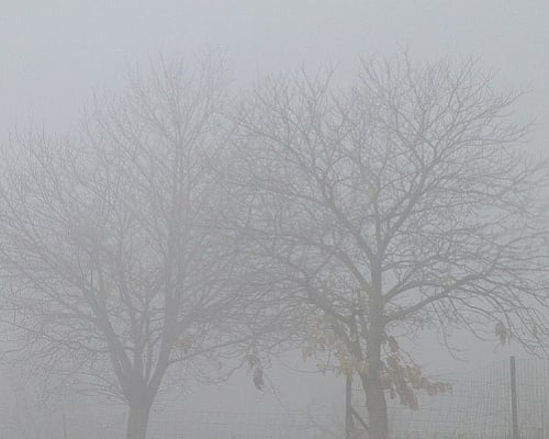 Καιρός: Θα σχηματιστεί ομίχλη απόψε - Βροχές αύριο στα ορεινά