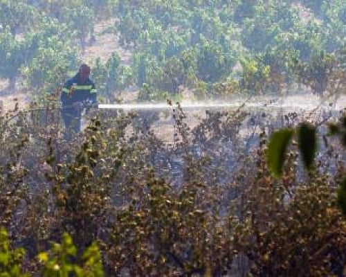 Έκκληση από τον κοινοτάρχη Ομόδους-«Υπάρχει μεγάλη αλυσίδα αγροτουρισμού»