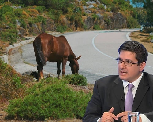 Πόσο... άλογος είναι τελικά ο νόμος για τα άλογα, τα ρούχα και τα χαλιά;