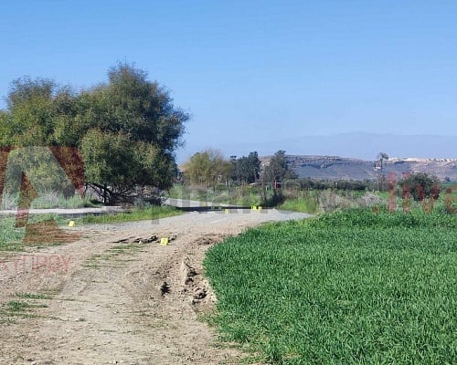 Τέσσερα τα εντάλματα σύλληψης για τον νεκρό 24χρονο