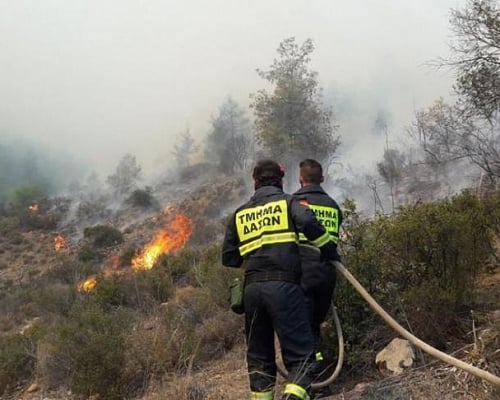 Πυρκαγιά με το «καλημέρα» στην Πάφο, άμεση η επέμβαση των πυροσβεστικών δυνάμεων