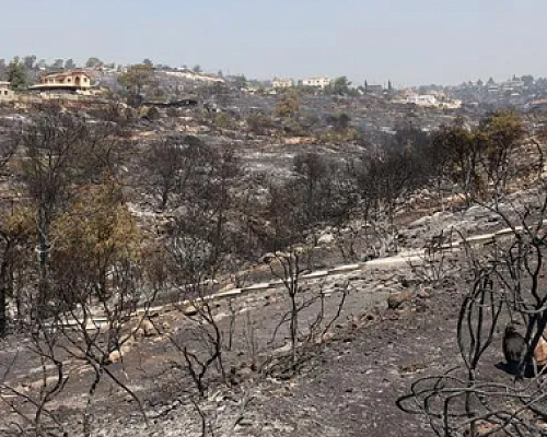 Υπουργός Γεωργίας: Πάνω από 500 αιτήσεις επαναδραστηριοποίησης στις πυρόπληκτες περιοχές