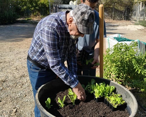 ΒΙΝΤΕΟ: Συνταξιούχοι συναντούν τη φύση, καλλιεργούν και προσφέρουν τα προϊόντα τους