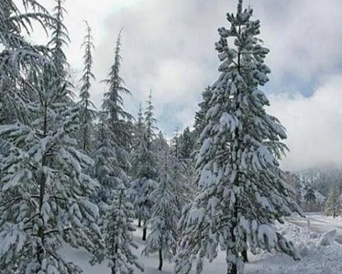 «Στο «ψυγείο» η Κύπρος από Δευτέρα – Έρχονται χιόνια, βροχές και ισχυροί άνεμο