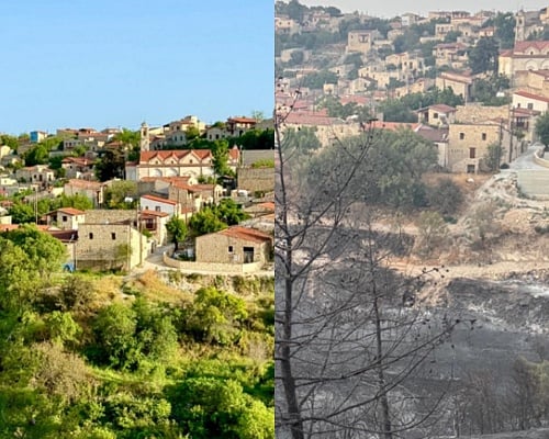 «Πράσινοι πνεύμονες» έγιναν στάχτη – Συγκριτικές εικόνες πριν και μετά τη φωτιά στη Λόφου συγκλονίζουν
