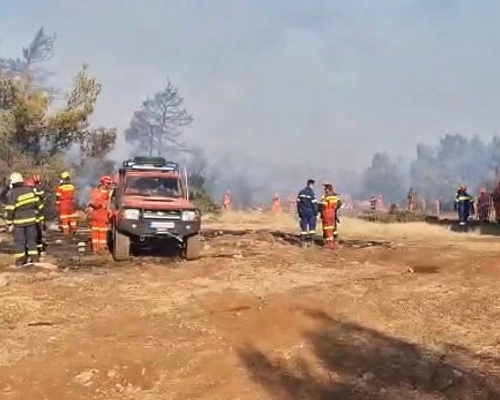 ΕΚΤΑΚΤΟ: Νέα πυρκαγιά στην Ψημολόφου, τρέχει και δε φτάνει πυροσβεστική