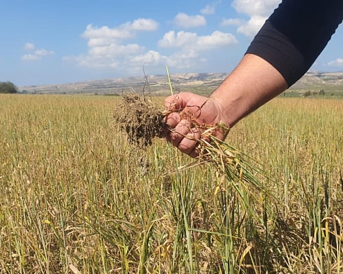 Αγρότες ένα βήμα πριν την καταστροφή, μεταφέρουν νερό ακόμη και με παγούρια