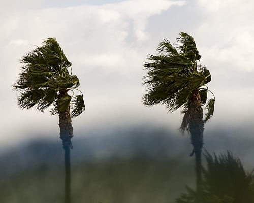 Σκόνη στην ατμόσφαιρα και πολύ ισχυρά μποφόρ, αναλυτικά η πρόγνωση του καιρού