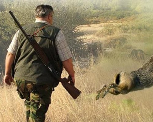 Άμεση ψήφιση ν/σ για παρενοχλήσεις κυνηγών ζητά η Κυπριακή Ομοσπονδία Κυνηγίου