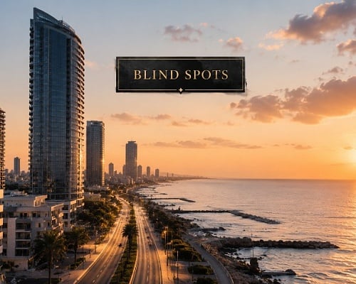 blindspot1_copy.jpg