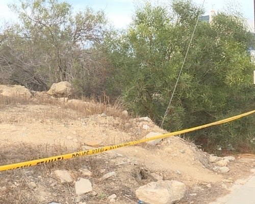 Screenshot 2025 11 03 091315