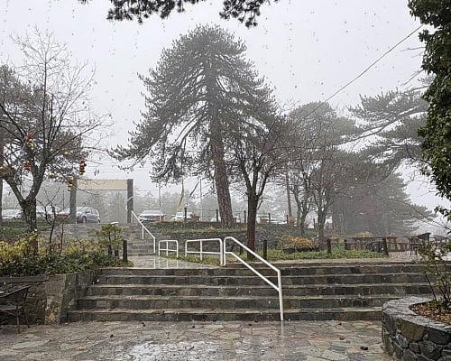 Screenshot 2025 12 09 235113